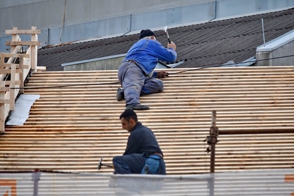 construction worker, engineering, professional, renovation, roof, roofing, man, industry, wood, people