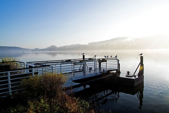 lakeside, birds, foggy, morning, pier, seagulls, sunshine, water system, waterfront, mooring