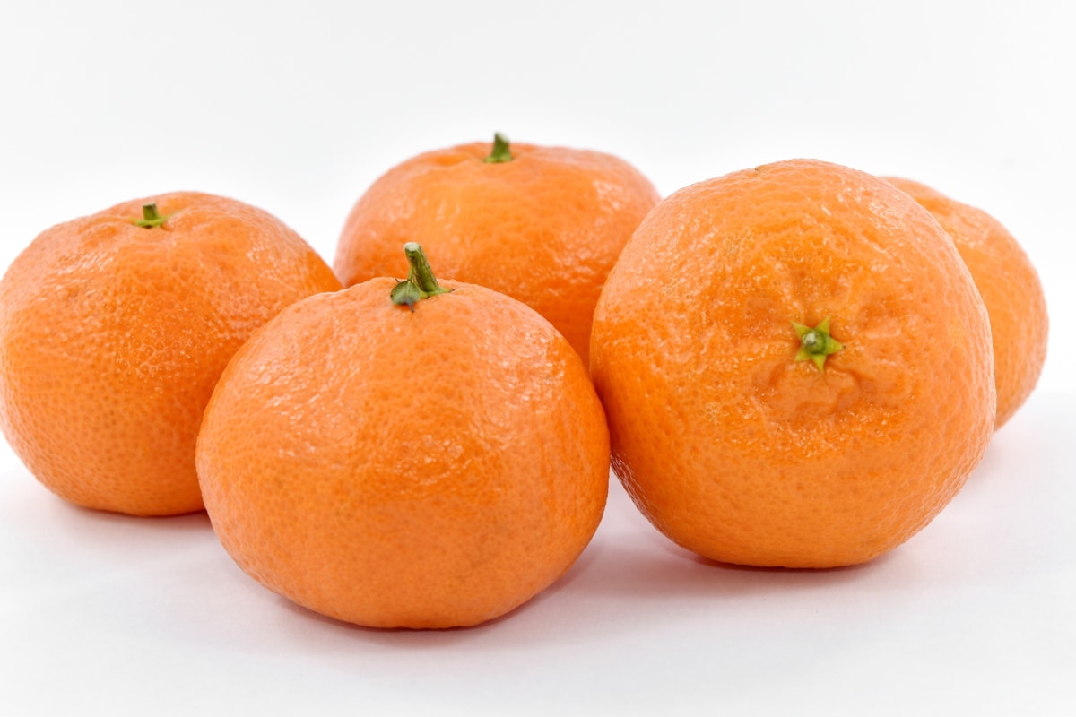 sitrushedelmien, Mandarin, appelsinskal, orange gul, hele, mandarin, frugt, sund, sød, orange