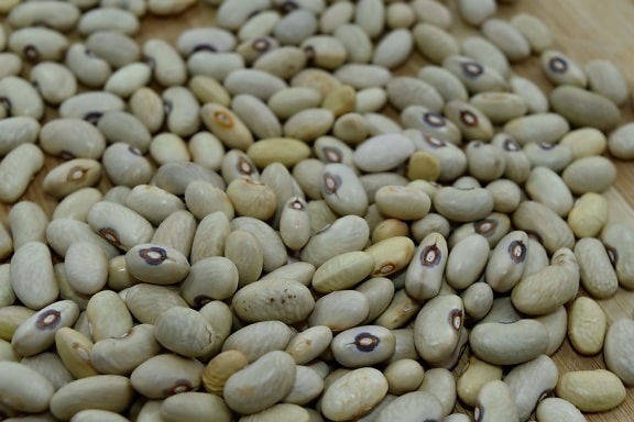 bean, many, health, vegetable, ingredients, nutrition, dry, food, farming, pile