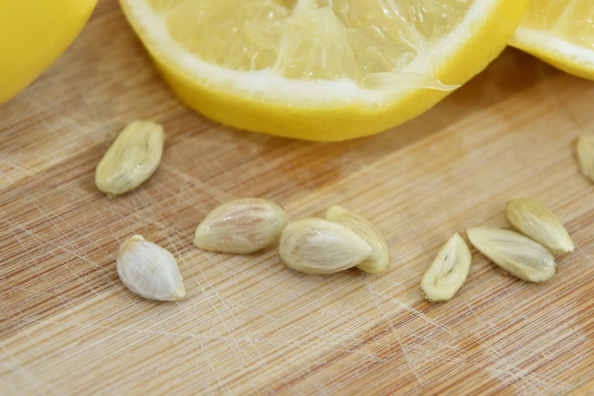 close-up, lemon, seed, slices, tropical, wood, health, diet, citrus, food