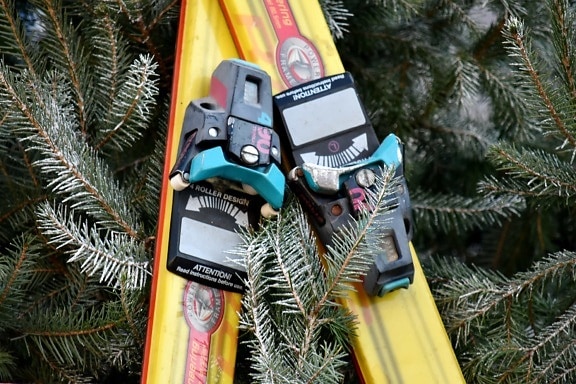 branch, conifers, equipment, object, skiing, sport, winter, tree, evergreen, decoration