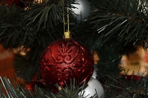 Abbey, jul, julgran, eleganta, hängande, semester, objekt, prydnad, lysande, traditionella