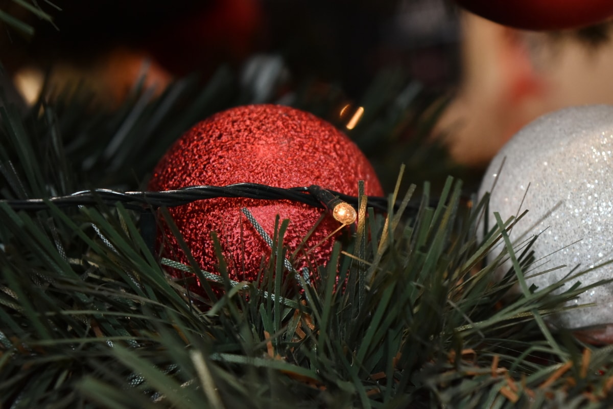 cabang, Natal, pohon natal, listrik, iluminasi, lampu, Ornamen, bola, desain interior, pohon