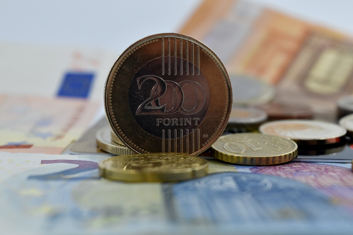 moedas, Euro, Forint húngaro, parte dianteira, peixe do género Notropis dourado, investimento, rodada, moeda, negócios, das finanças