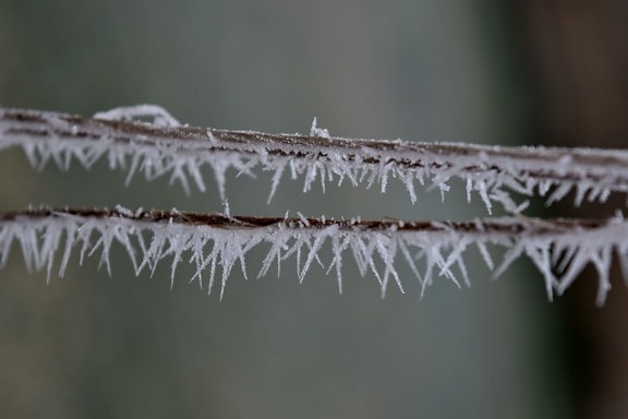 close-up, cold, details, horizontal, ice crystal, macro, rope, frost, winter, nature
