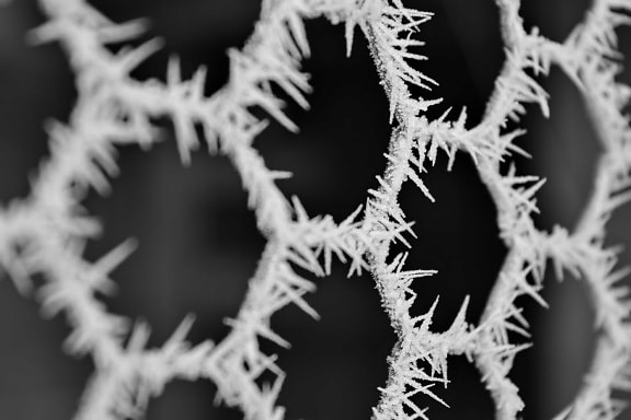 black and white, close-up, cold, details, frozen, ice crystal, monochrome, wire, snow, ice