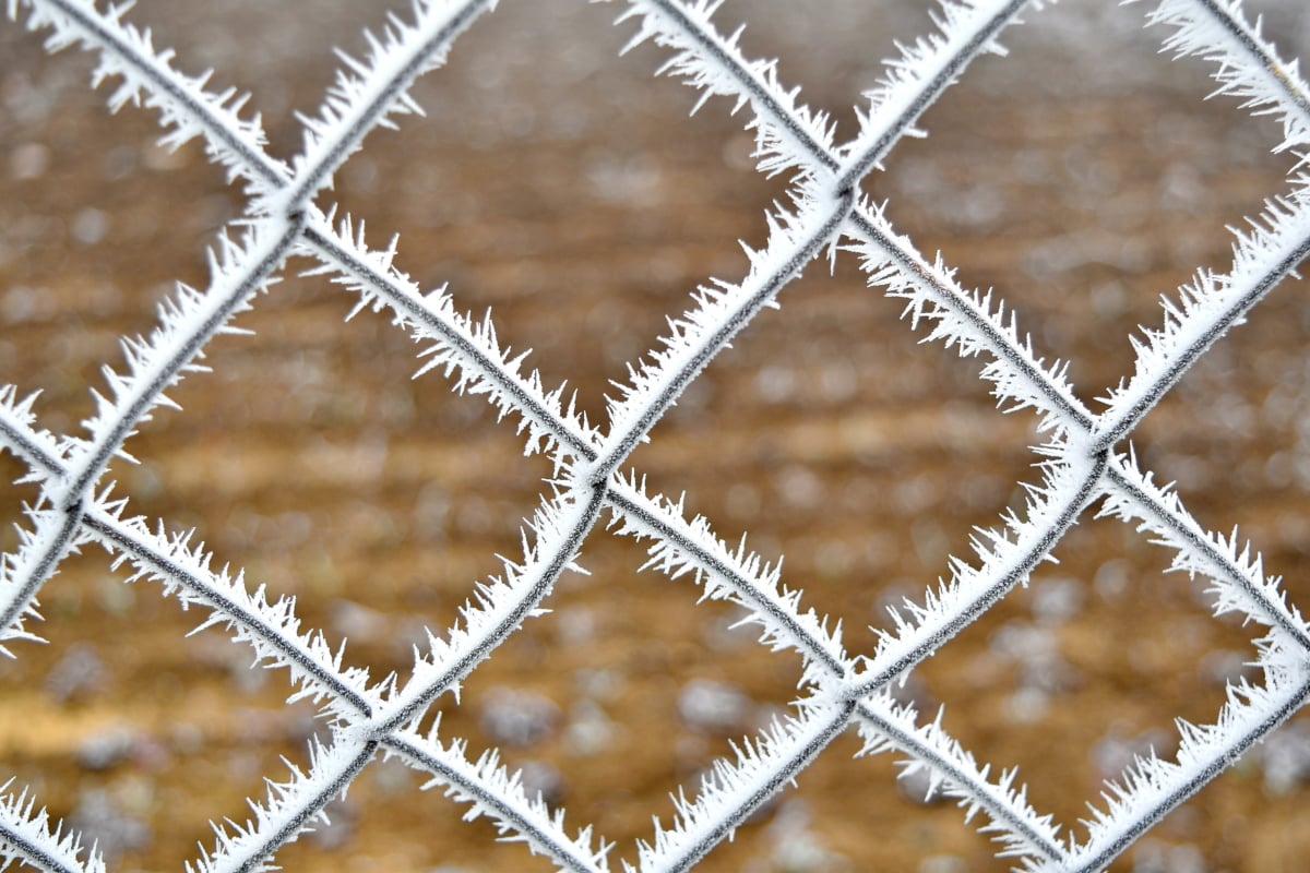 hladno, ograda, zamrznuto, metal, čelik, uzorak, barijera, oštar, Mraz, tekstura