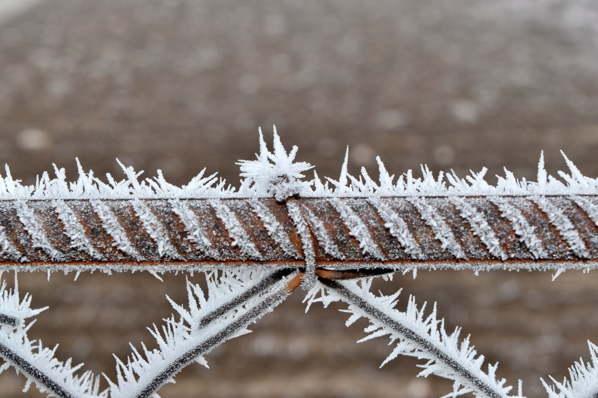 barbed wire, cast iron, fence, freeze, frost, frozen, ice crystal, rust, steel, winter