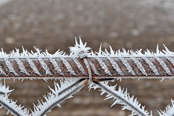 bodljikava žica, lijevano željezo, ograda, zamrzavanje, Mraz, zamrznuto, led kristal, hrđe, čelik, zima