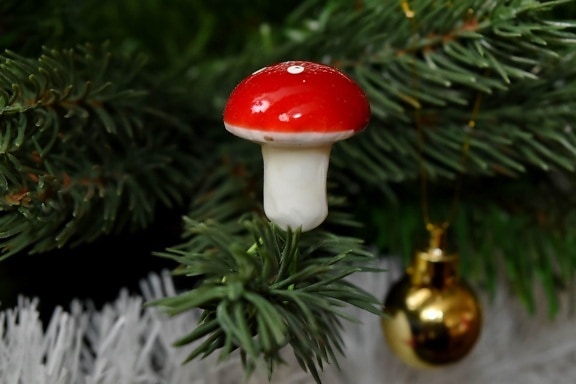 pobočky, vánoční, vánoční strom, zblízka, houby, houby, strom, zimní, svítí, stále zelený