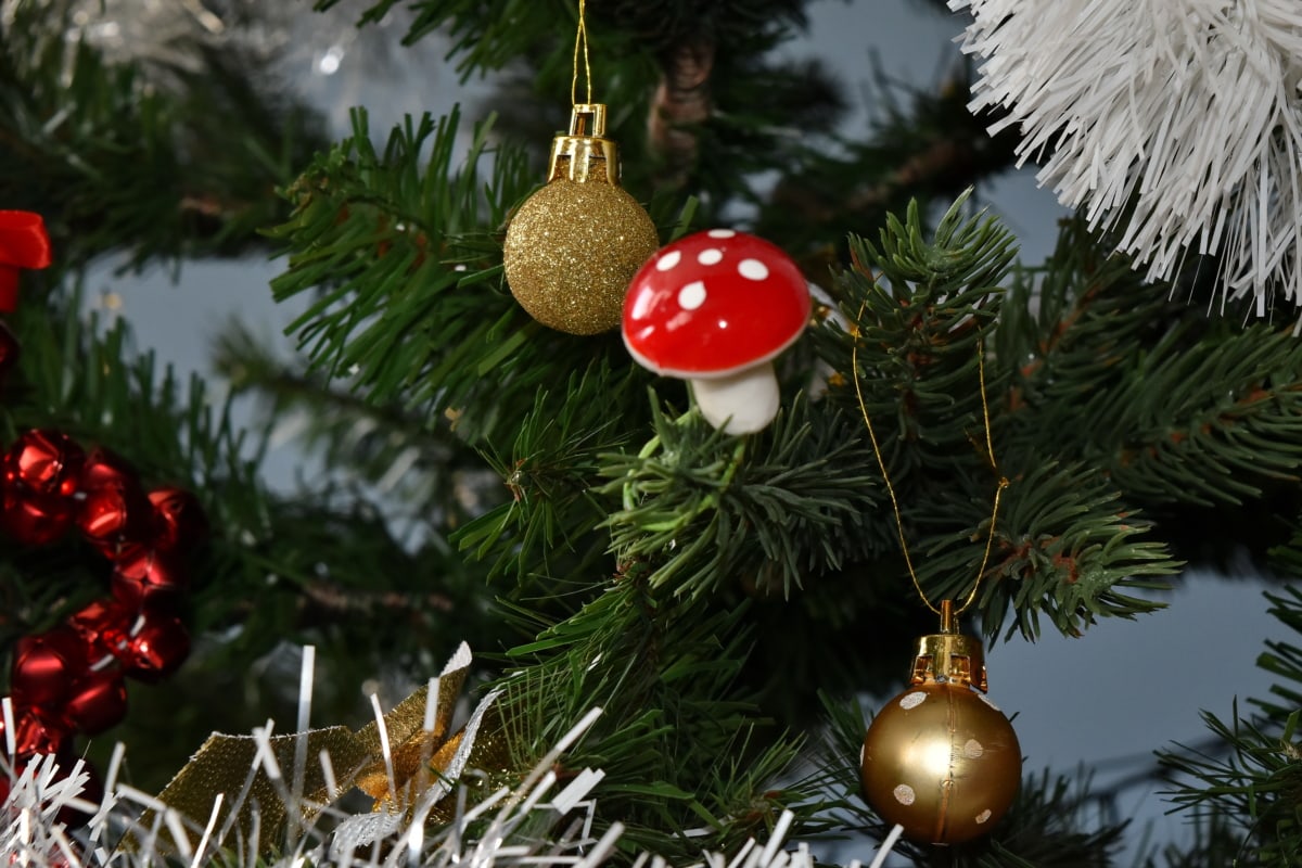 jul, juletre, dekorasjon, sopp, nyttår, ornament, Evergreen, skinner, furu, treet