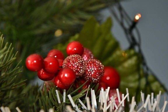 Weihnachtsbaum, Struktur, glänzend, Beeren, süß, Strauch, Anlage, Winter, Weihnachten, Beere