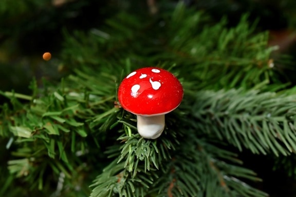 decorative, detail, christmas, mushroom, fungus, tree, nature, evergreen, conifer, outdoors