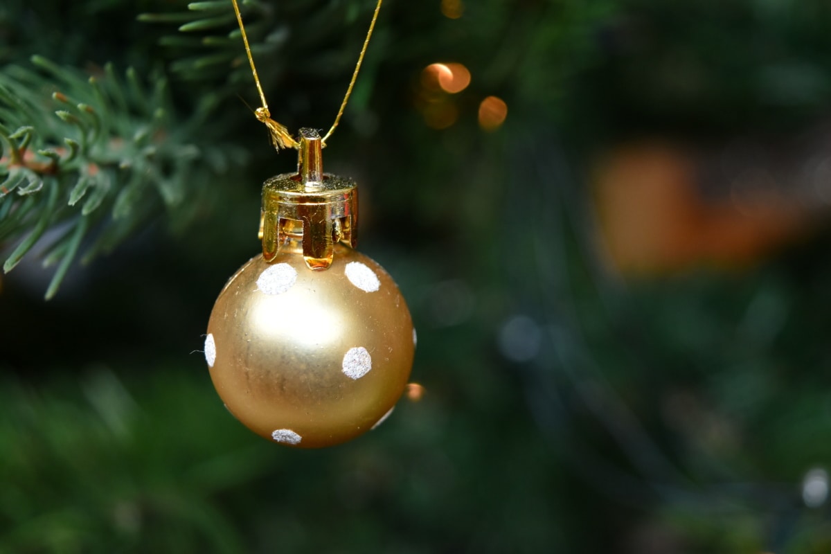 christmas tree, golden glow, golden shiner, hanging, shipping, christmas, shining, tree, decoration, celebration