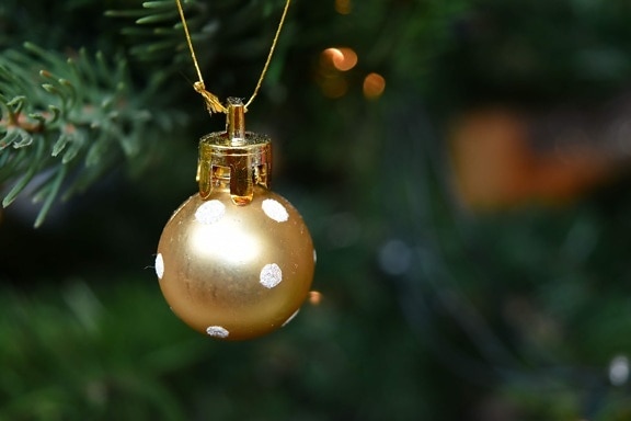 Sapin de Noël, lueur dorée, Méné jaune, suspendu, marine marchande, Noël, Shining, arbre, décoration, célébration