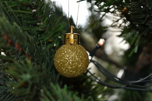 christmas, christmas tree, golden glow, golden shiner, reflection, sphere, decoration, shining, winter, hanging