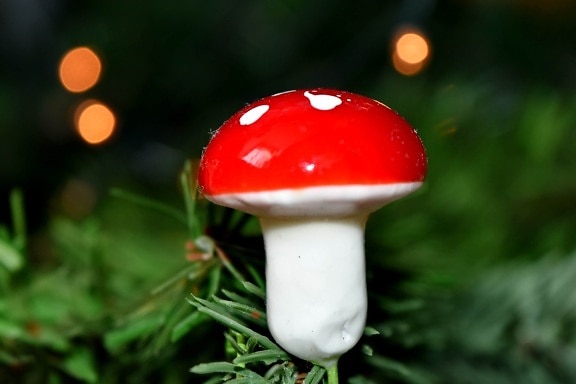 backlight, christmas tree, macro, mushroom, nature, summer, outdoors, christmas, leaf, blur