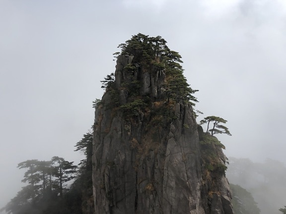 cliff, fog, high land, mountain peak, vertical, tree, nature, landscape, wood, mist