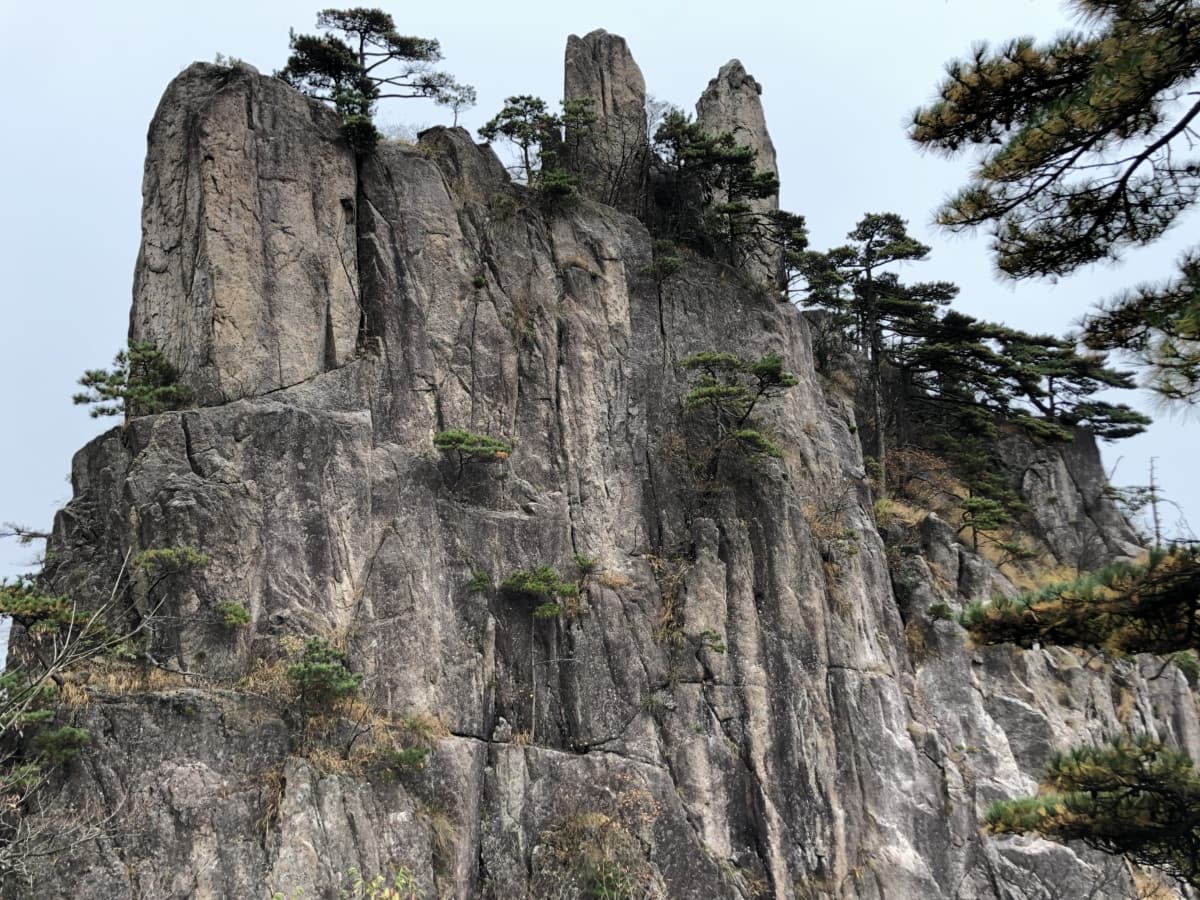 gros rochers, falaise, vertical, arbre, montagne, paysage, nature, Roche, à l’extérieur, vue