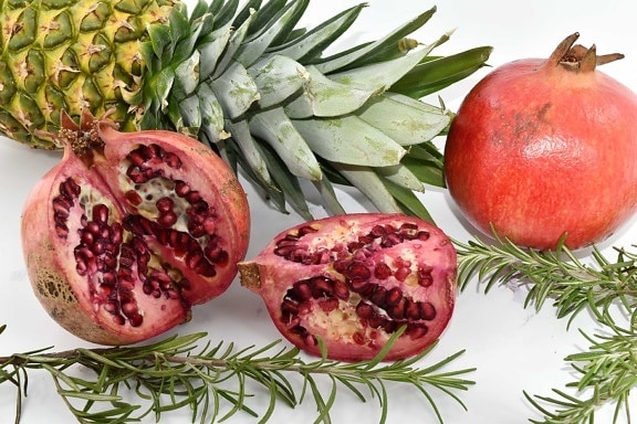 Antioxidans, Zitrus, Ananas, würzen, Zweig, Granatapfel, frisch, Ernährung, Produkte, Obstbaum