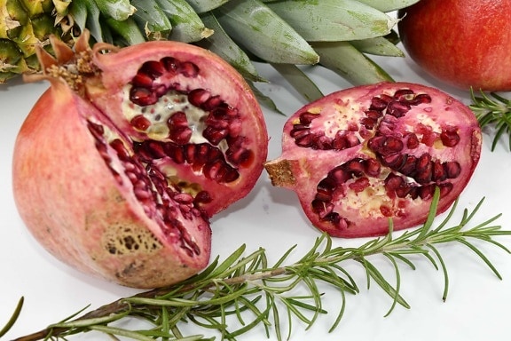 cross section, kernel, pomegranate, rosemary, twig, produce, food, fruit, health, delicious