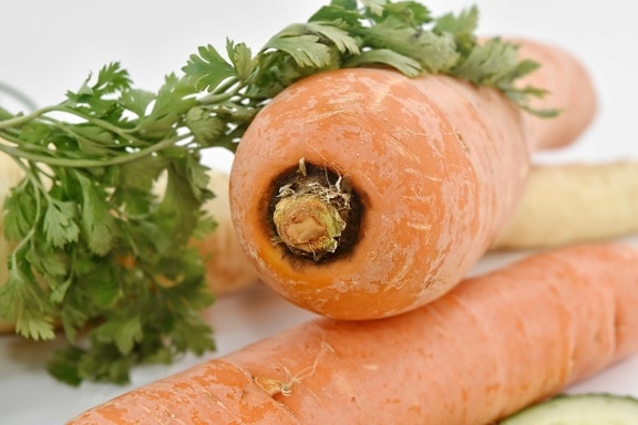 antioxidant, ingredients, healthy, carrot, root, food, parsley, vegetables, vegetable, nutrition