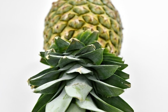 antioxidant, delicious, fruit, food, leaf, pineapple, tropical, exotic, herb, healthy