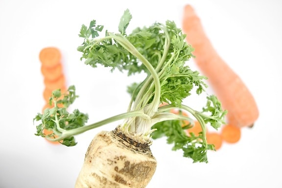 селско стопанство, морков, едър план, зелени листа, естествено, магданоз, корени, зеленчуци, корен, салата