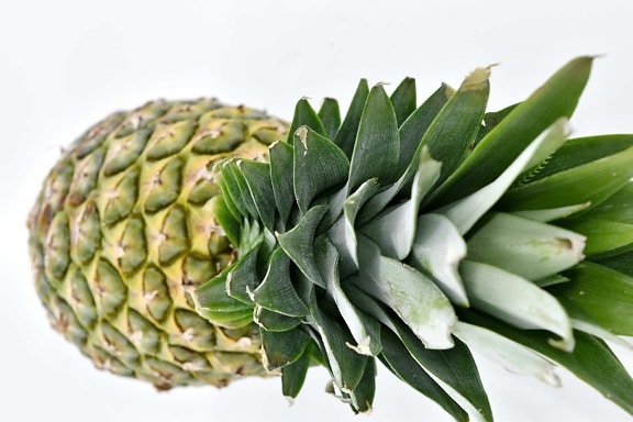 antioxidant, close-up, exotic, food, fruit, green leaf, organic, pineapple, tropical, plant