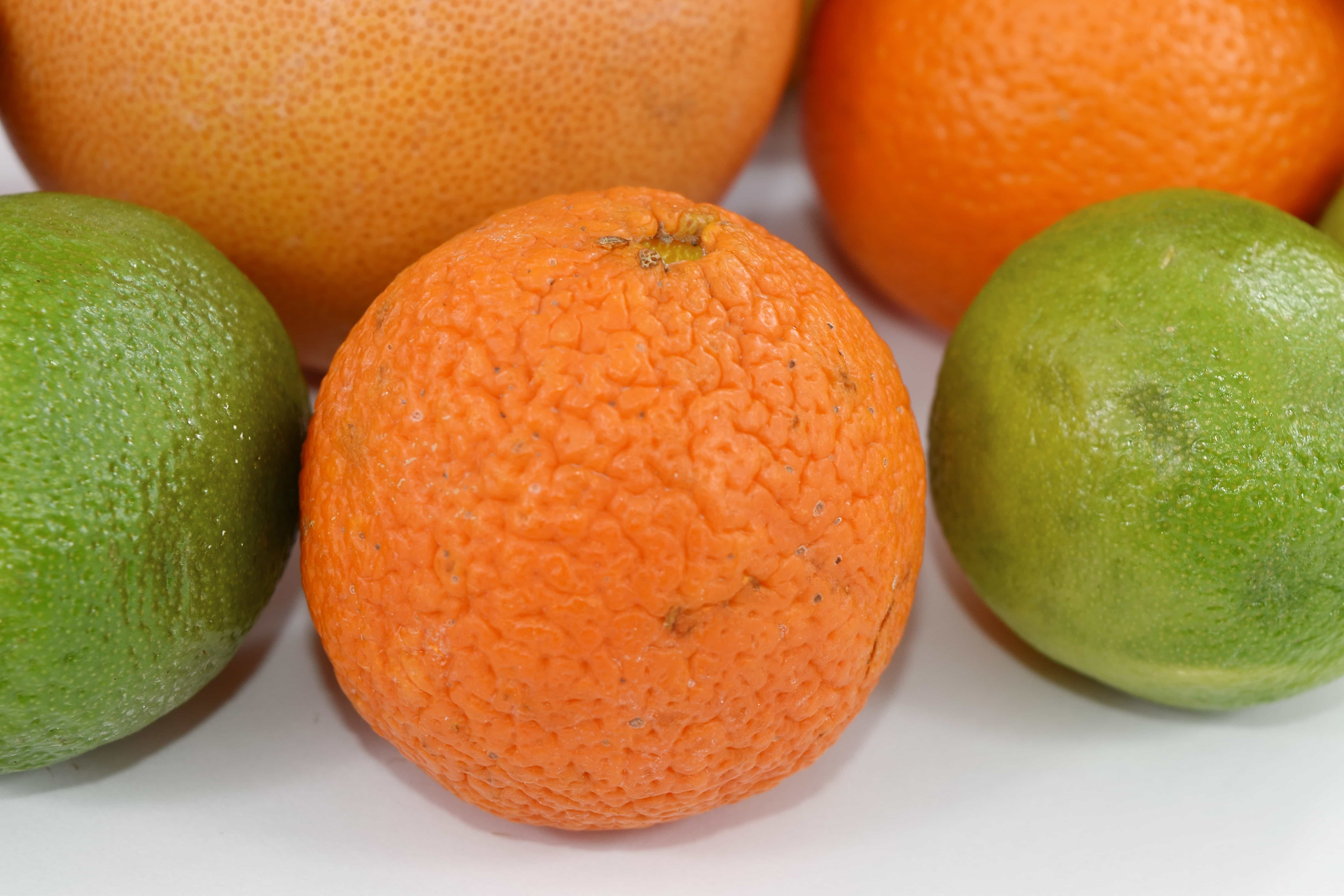 Orange vitamin. Мандарин помело лимон. Смесь лимона и мандарина. Цвет апельсина. Мандариновая болезнь.