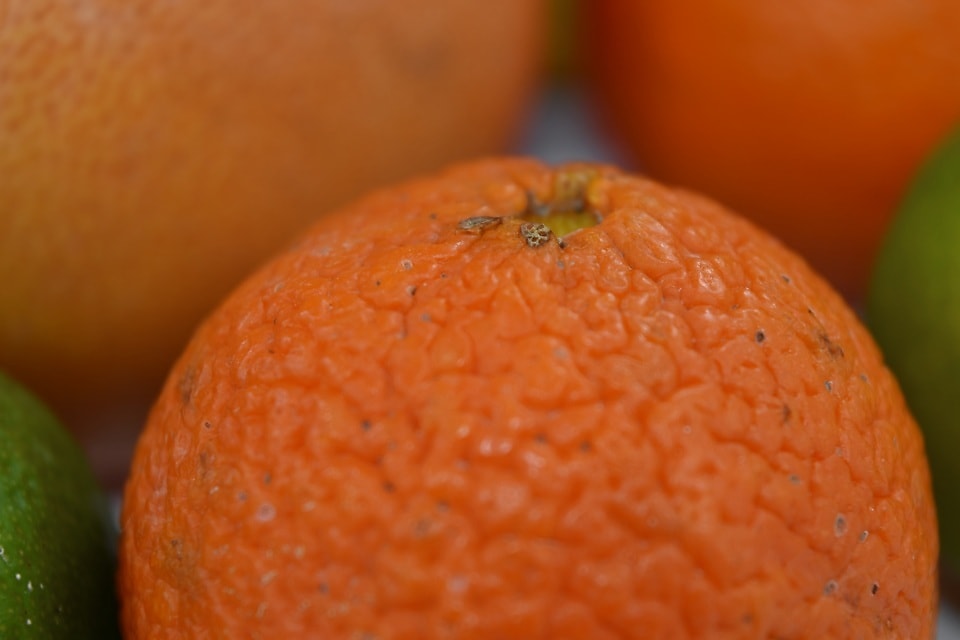 Free Picture: Close-up, Tangerine, Juice, Citrus, Orange, Healthy 