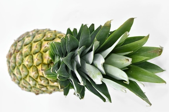 agriculture, pineapple, vitamin, tropical, food, exotic, fruit, upclose, nutrition, herb