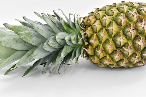tropical, fruits, alimentaire, ananas, nature, flore, fermer, exotique, feuille, nutrition