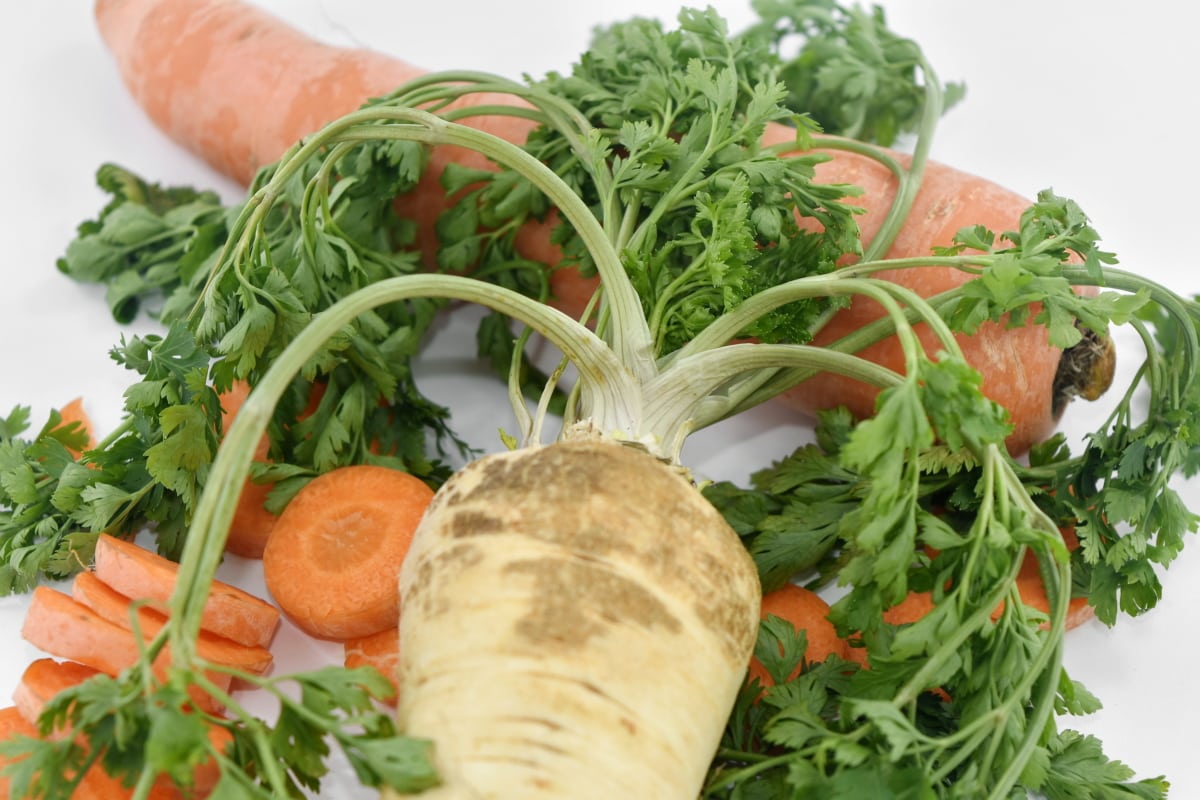landbouw, wortel, product, groenten, voedsel, ingrediënten, peterselie, gezonde, salade, plantaardige