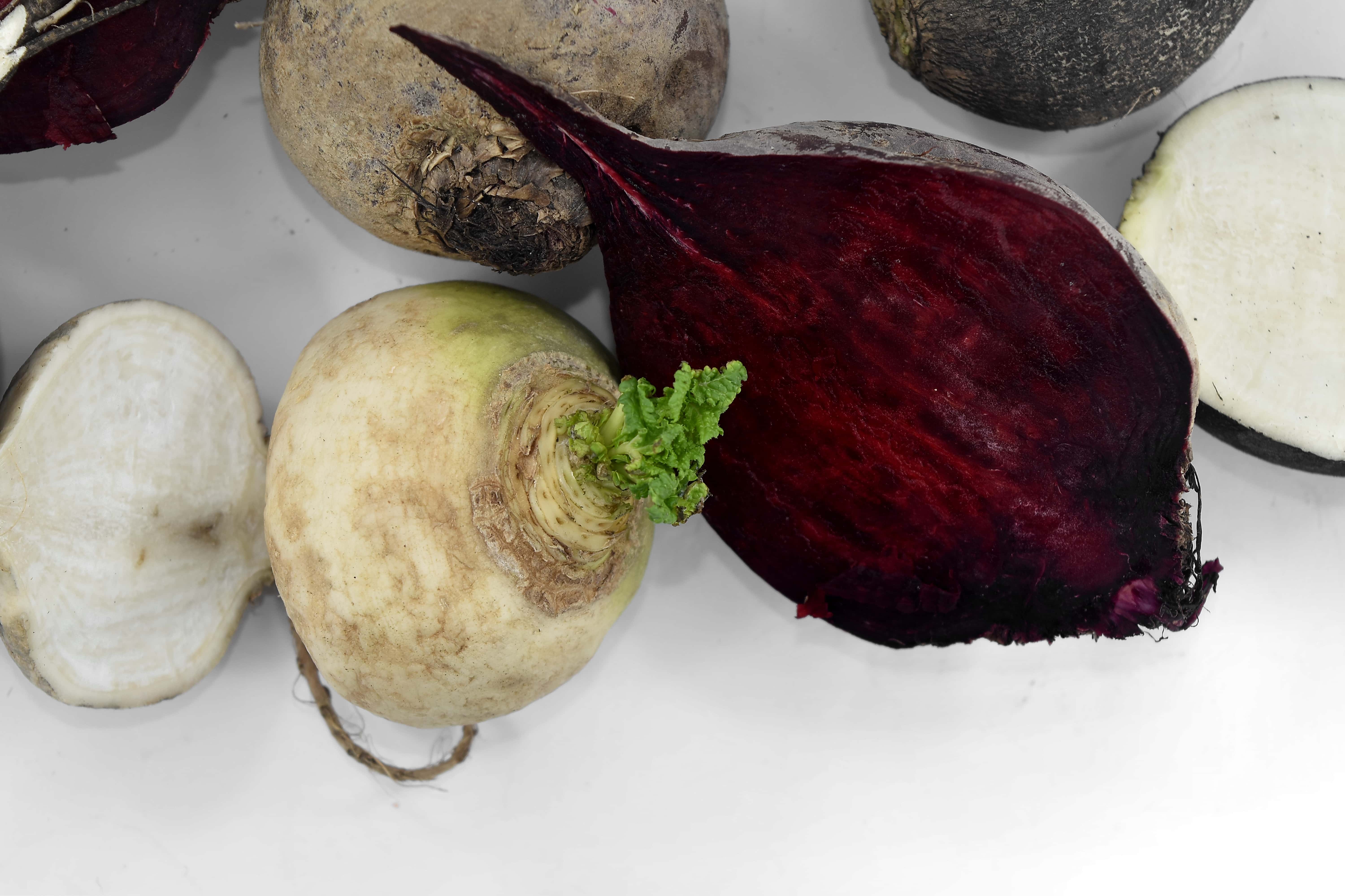 フリー写真画像 ビートの根 大根 ルート 野菜 カブ ハーブ 食品 野菜 栄養 農業