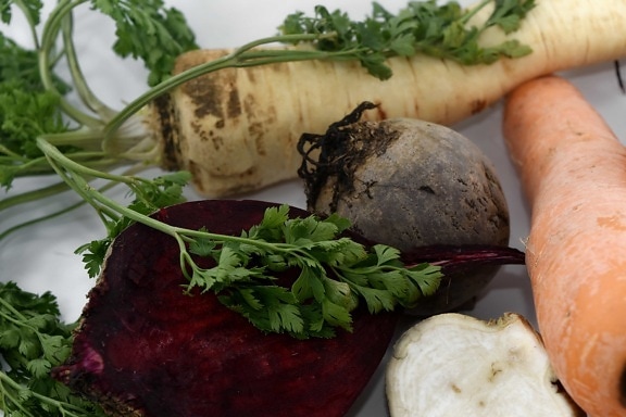beetroot, fresh, green leaves, kohlrabi, parsley, roots, slices, food, vegetable, meal