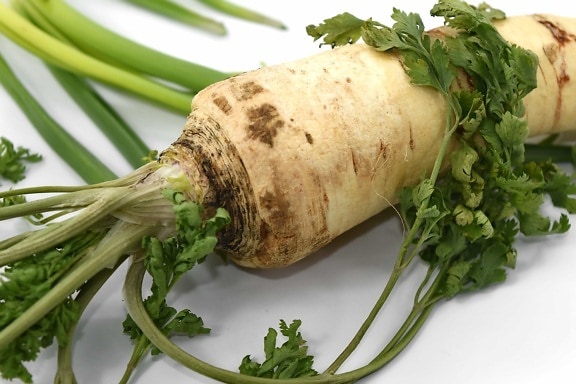 antioxidant, celery, green leaves, leek, organic, parsley, vitamins, food, produce, meal