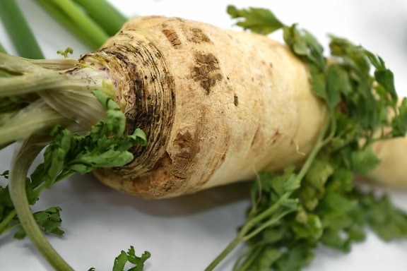 celery, green leaves, vegan, vegetable, vegetarian, food, root, cooking, ingredients, leaf