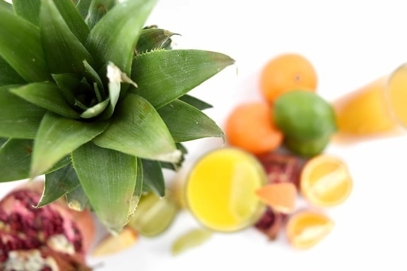 цитрусови плодове, зелени листа, ананас, вкусни, пресни, храна, диета, листа, здраве, природата
