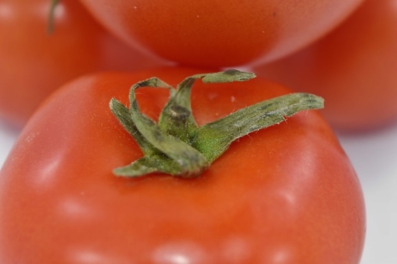 近距离, 详细信息, 绿色的树叶, 番茄, 蔬菜, 新鲜, 餐饮, 营养, 叶, 美味