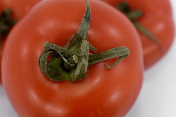 frais, légume, tomate, alimentaire, ingrédients, en bonne santé, tomates, nutrition, feuille, cuisine