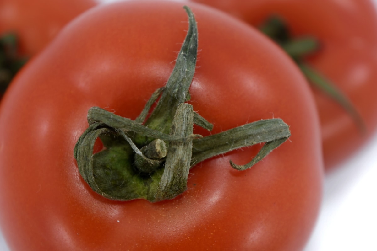 landbruk, aroma, diett, produkt, tomat, tomater, frisk, sunn, vegetabilsk, mat