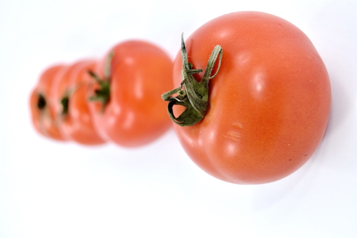 poľnohospodárstvo, zväčšenie, bylina, horizontálne, produkty, červená, paradajky, zdravé, zdravie, rastlinné