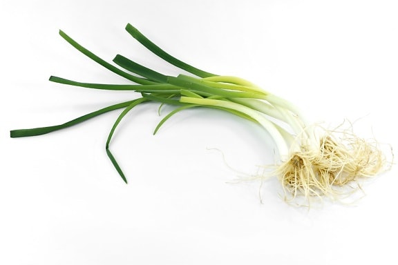 aromatic, chive, herb, onion, product, wild onion, leek, nature, leaf, root