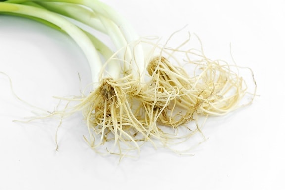 chives, root, spice, wild onion, food, leaf, nutrition, upclose, bright, ingredients