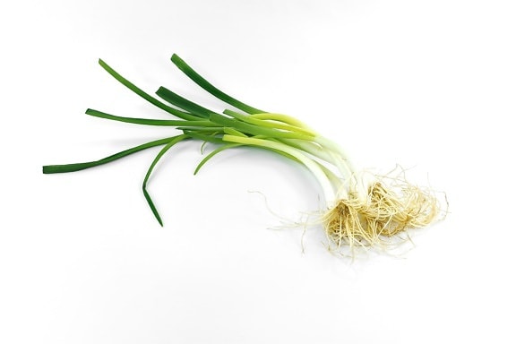 antibacterial, antioxidant, aroma, carbohydrate, chives, leek, root, wild onion, leaf, spice
