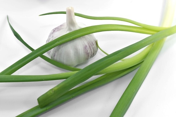 garlic, green leaves, leek, wild onion, onion, vegetable, leaf, nature, chives, food