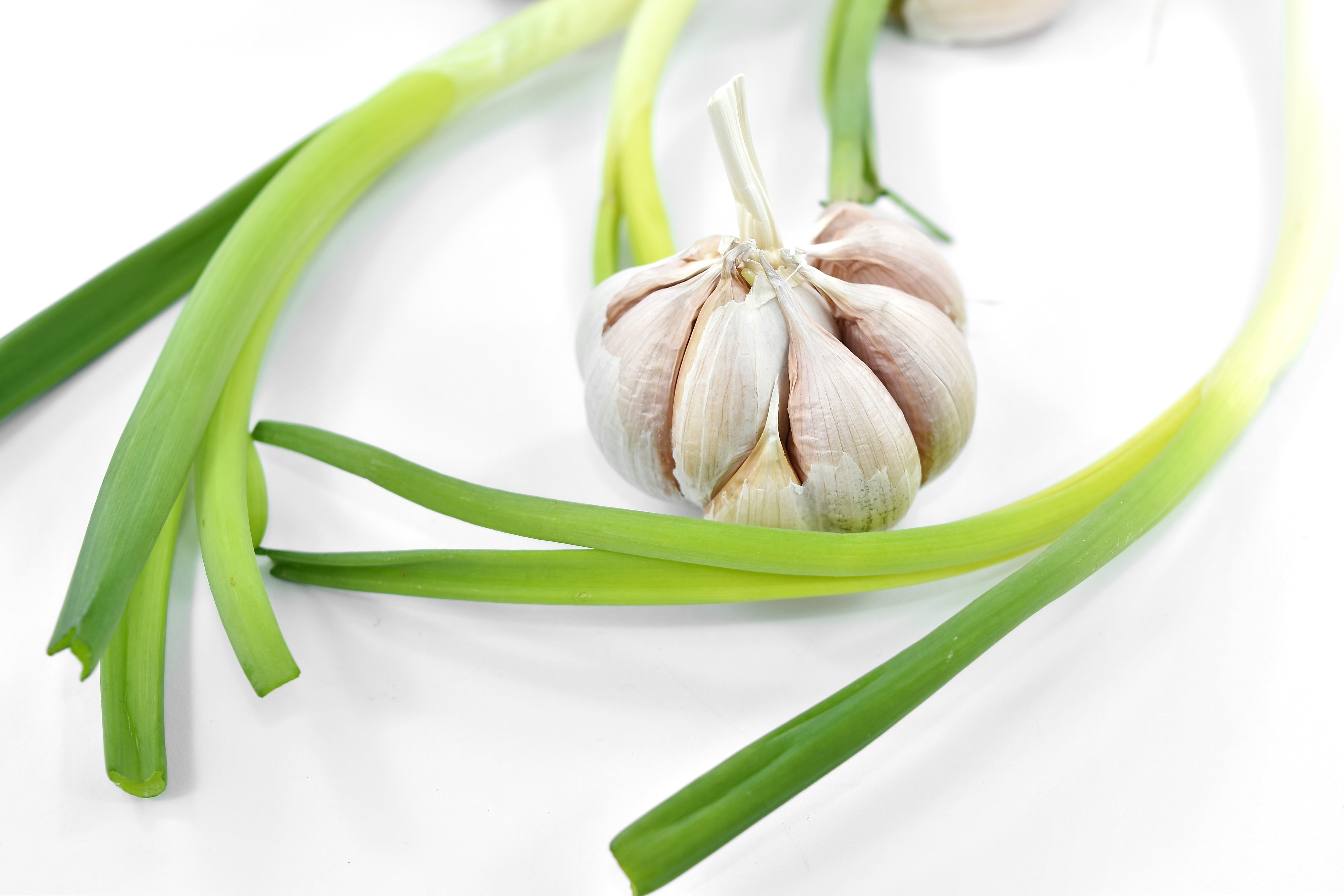 フリー写真画像 芳香族 スパイス ニンニク 葉 食材 料理 食品 栄養 明るい ビタミン