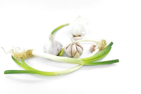 garlic, green leaves, organic, product, nature, leaf, flora, root, upclose, bright